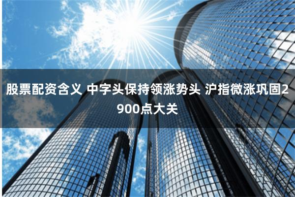 股票配资含义 中字头保持领涨势头 沪指微涨巩固2900点大关