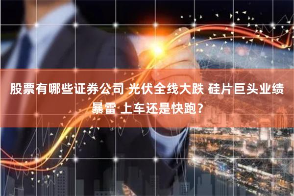 股票有哪些证券公司 光伏全线大跌 硅片巨头业绩暴雷 上车还是快跑？