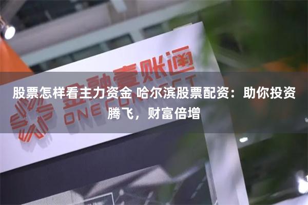 股票怎样看主力资金 哈尔滨股票配资：助你投资腾飞，财富倍增